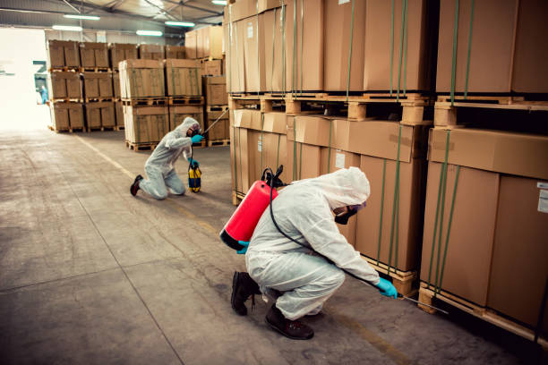 Flea Control Services in Webster City, IA