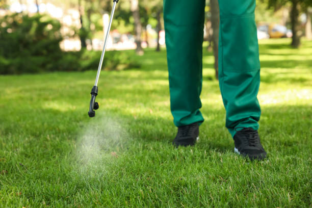Best Termite Control Services  in Webster City, IA