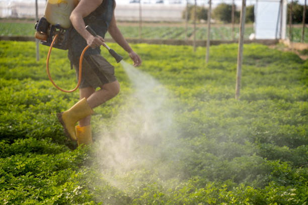 Professional Pest Control in Webster City, IA