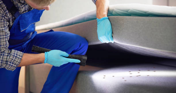 Best Best Pest Control Companies  in Webster City, IA